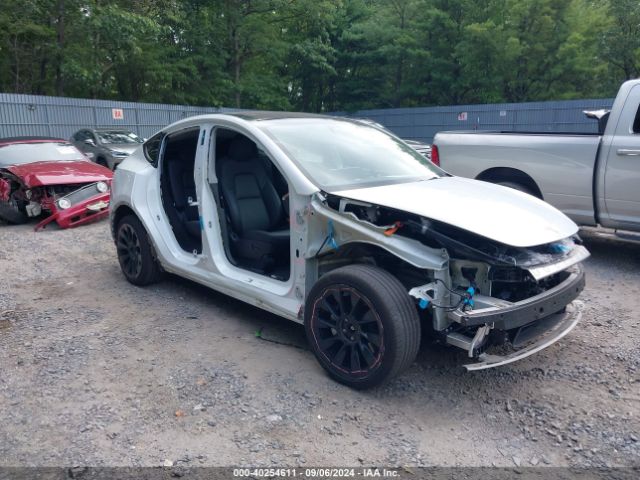 2023 TESLA MODEL Y 7SAYGDEE0PA059930