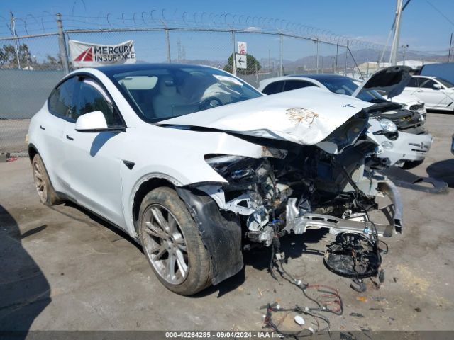 2023 TESLA MODEL Y 7SAYGDEE1PF628111