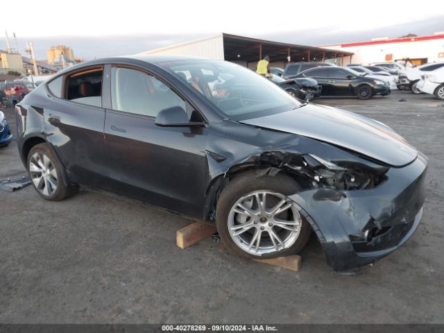 2024 TESLA MODEL Y 7SAYGDEEXRF014709