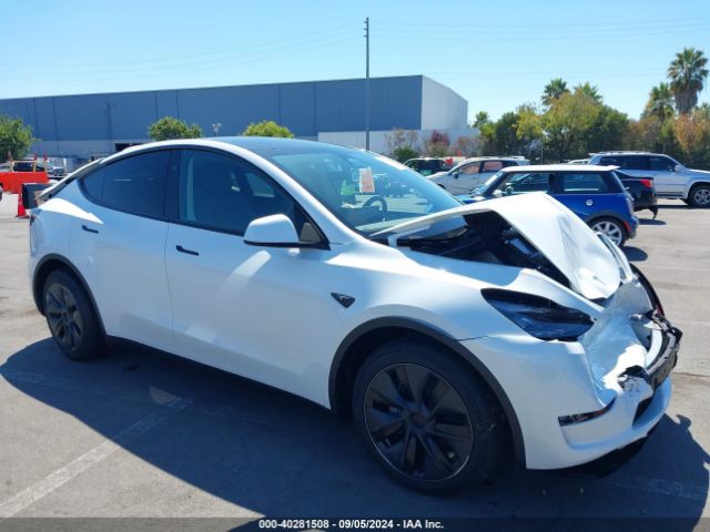 2024 TESLA MODEL Y 7SAYGDEE5RF120081