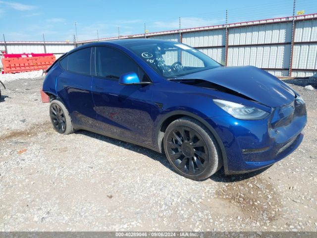 2021 TESLA MODEL Y 5YJYGDEE3MF259003