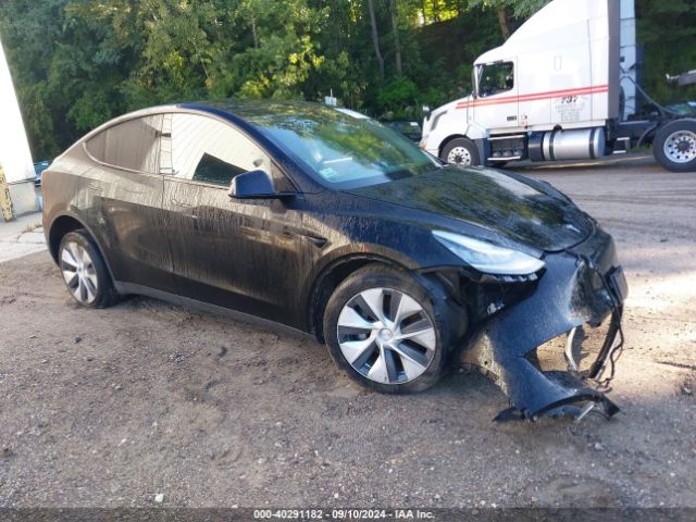 2021 TESLA MODEL Y 5YJYGDEEXMF239704