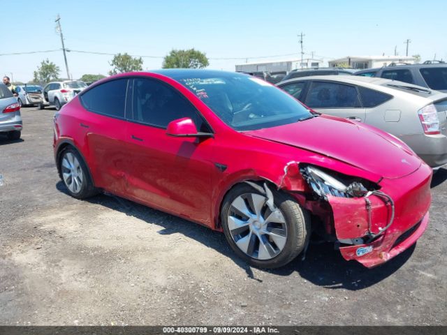 2021 TESLA MODEL Y 5YJYGDEE7MF214971