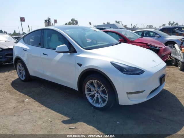 2023 TESLA MODEL Y 7SAYGAEE0PF794358