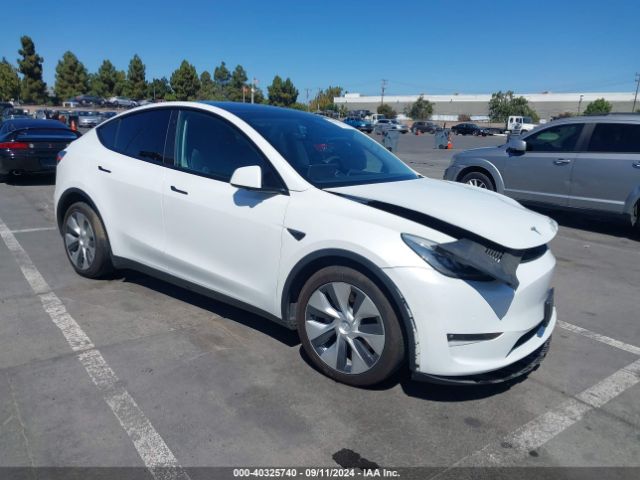 2021 TESLA MODEL Y 5YJYGAEE5MF223036