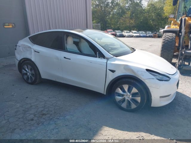 2021 TESLA MODEL Y 5YJYGDEE4MF069176