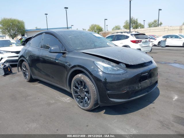 2023 TESLA MODEL Y 7SAYGDED6PF964277