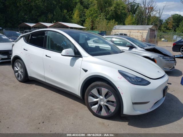2021 TESLA MODEL Y 5YJYGDEE8MF191541
