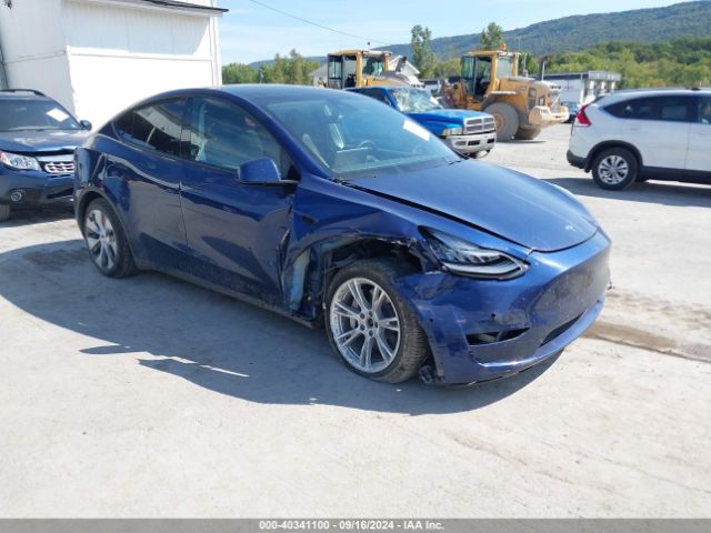 2021 TESLA MODEL Y 5YJYGAEEXMF259692
