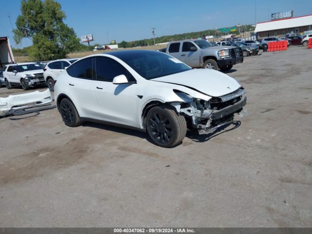 2021 TESLA MODEL Y 5YJYGDEE2MF097784