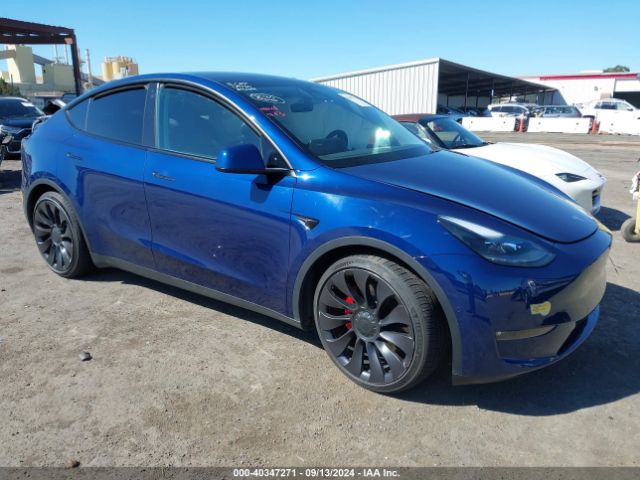 2022 TESLA MODEL Y 7SAYGDEF3NF349359