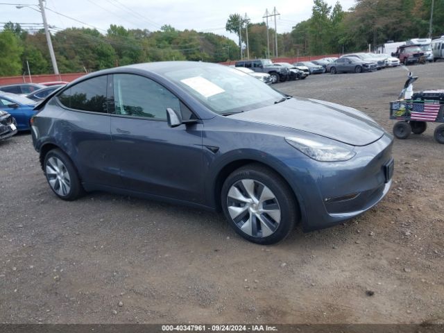 2023 TESLA MODEL Y 7SAYGDED9PF933184