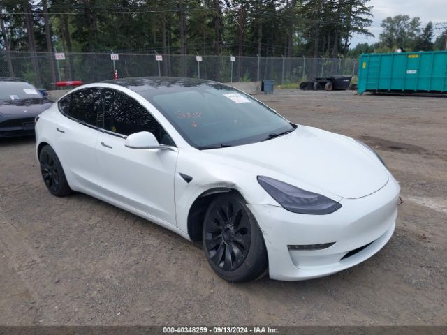 2020 TESLA MODEL 3 5YJ3E1EA3LF612446