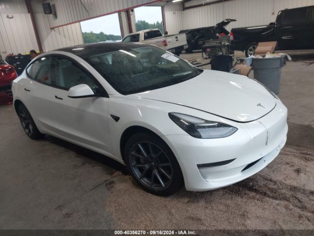 2022 TESLA MODEL 3 5YJ3E1EB6NF231282