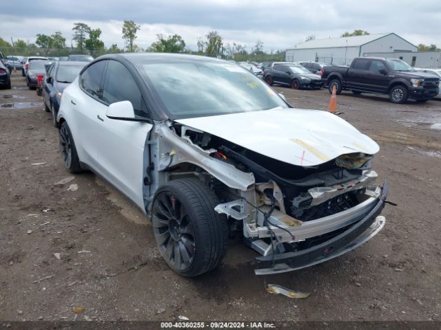 2022 TESLA MODEL Y 7SAYGDEF3NF545785