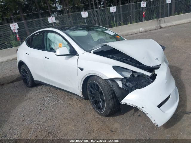 2020 TESLA MODEL Y 5YJYGDEE0LF011273