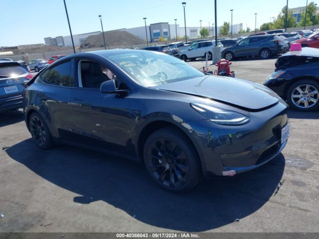2024 TESLA MODEL Y 7SAYGDED8RF125511