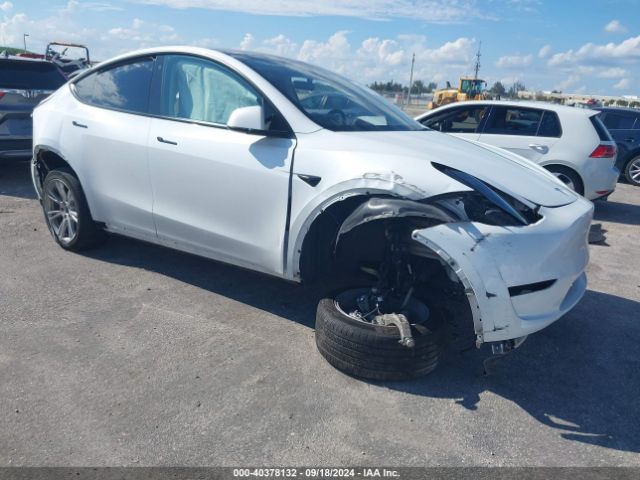 2023 TESLA MODEL Y 7SAYGDEE1PF760785