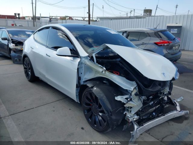 2024 TESLA MODEL Y 7SAYGDEF0RF121339