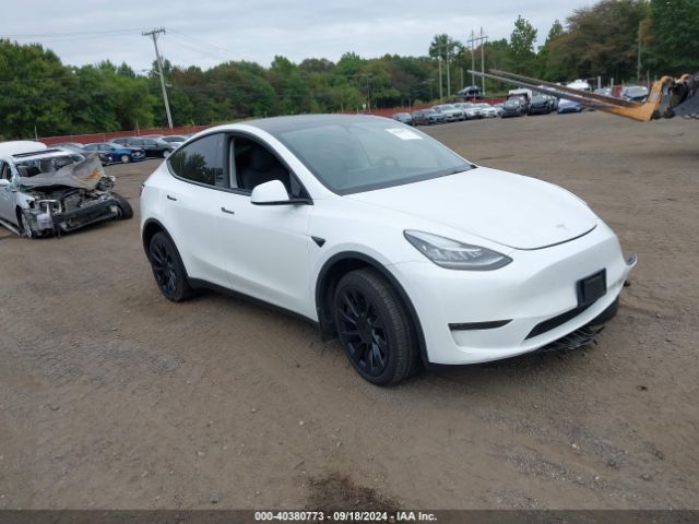 2023 TESLA MODEL Y 7SAYGDEE9PA071235