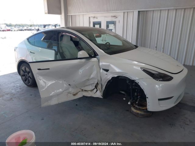 2024 TESLA MODEL Y 7SAYGDED3RF115792