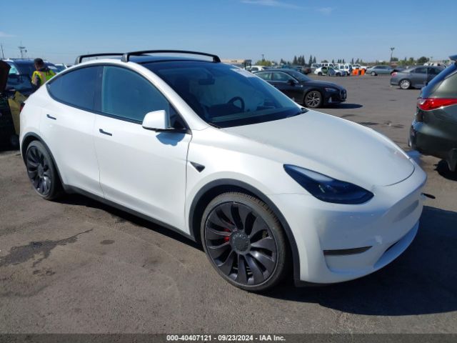 2021 TESLA MODEL Y 5YJYGDEF4MF151241