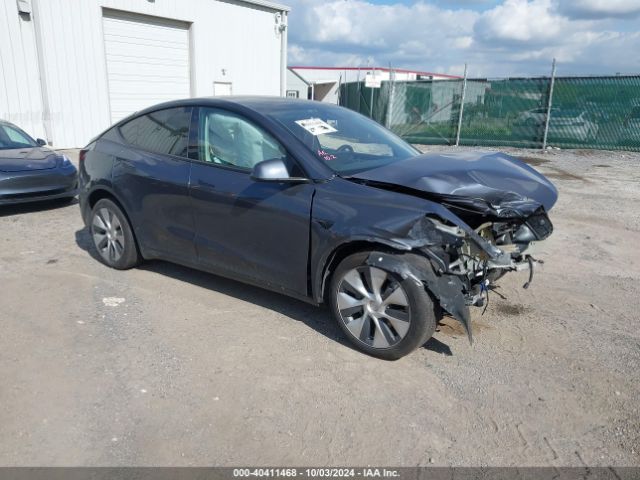 2023 TESLA MODEL Y 7SAYGDEE4PF764121