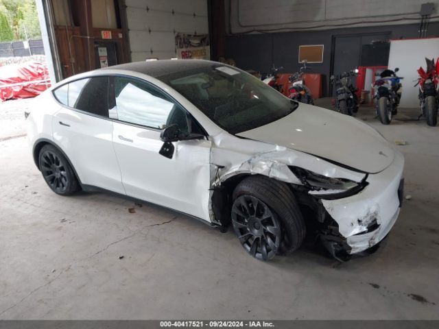 2021 TESLA MODEL Y 5YJYGDEE8MF246084