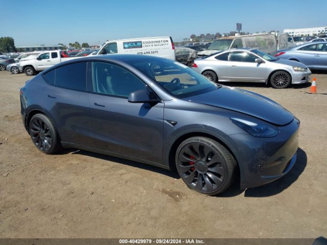 2023 TESLA MODEL Y 7SAYGDEF3PF935594