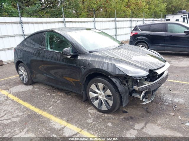 2023 TESLA MODEL Y 7SAYGAEE1PF646140