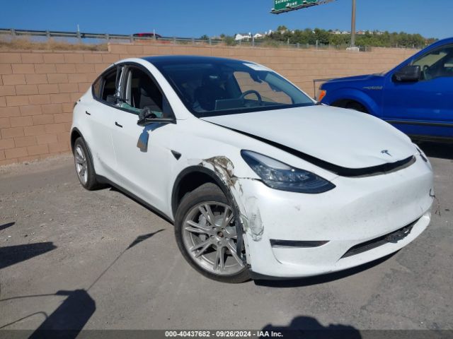 2023 TESLA MODEL Y 7SAYGDEE7PA096067