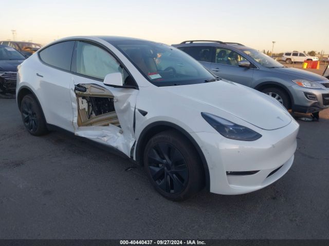 2024 TESLA MODEL Y 7SAYGDEE3RF122797