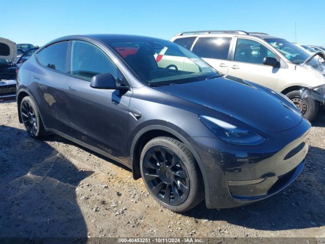 2024 TESLA MODEL Y 7SAYGDEE6RA269709