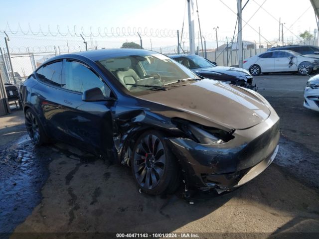 2024 TESLA MODEL Y 7SAYGDEF7RF104408