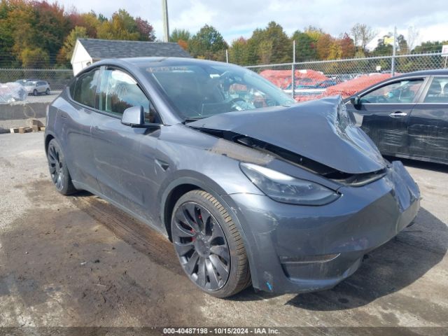 2023 TESLA MODEL Y 7SAYGDEF9PF588806