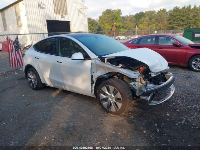 2024 TESLA MODEL Y 7SAYGAEE8RF092274