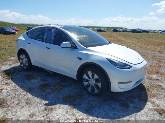 2023 TESLA MODEL Y 7SAYGDEE5PF618102