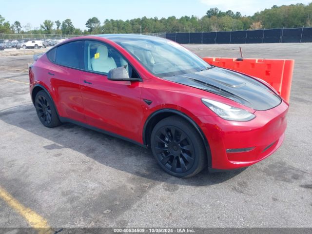2023 TESLA MODEL Y 7SAYGDEE4PF707613
