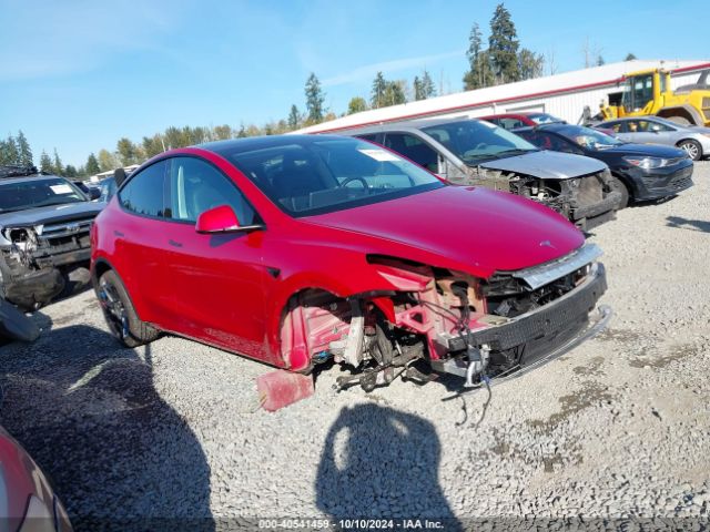2021 TESLA MODEL Y 5YJYGDEE2MF217552