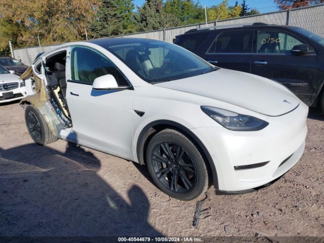 2021 TESLA MODEL Y 5YJYGDEE1MF229787