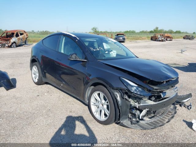 2024 TESLA MODEL Y 7SAYGDED1RF052031