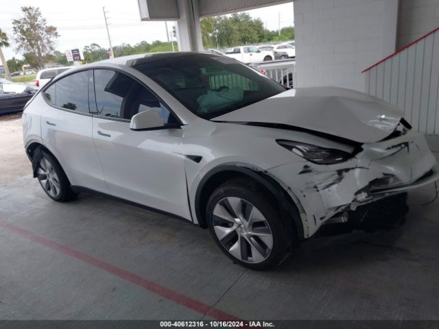 2023 TESLA MODEL Y 7SAYGDEE1PA028153