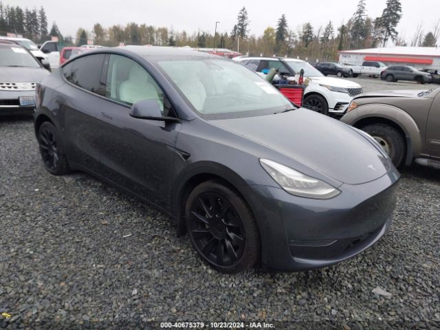 2021 TESLA MODEL Y 5YJYGDEE9MF098608
