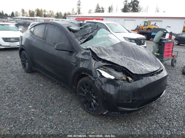 2023 TESLA MODEL Y 7SAYGAEE8PF838946