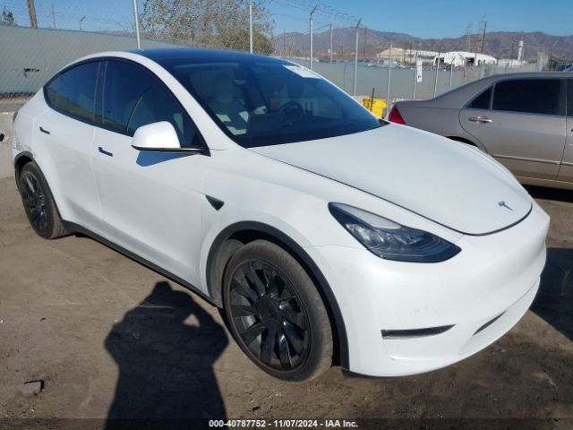2021 TESLA MODEL Y 5YJYGDEE6MF098324