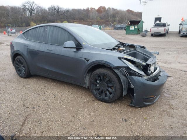 2021 TESLA MODEL Y 5YJYGDEE0MF060331