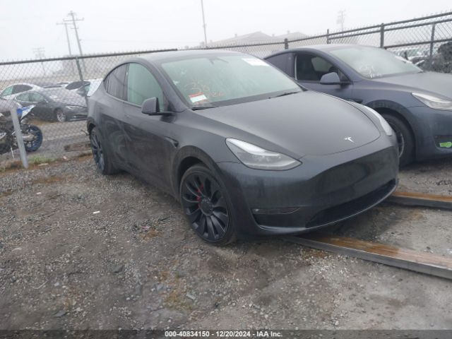 2024 TESLA MODEL Y 7SAYGDEF0RF051809