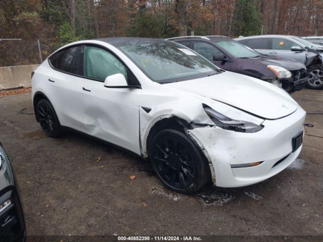 2020 TESLA MODEL Y 5YJYGDEE5LF045726