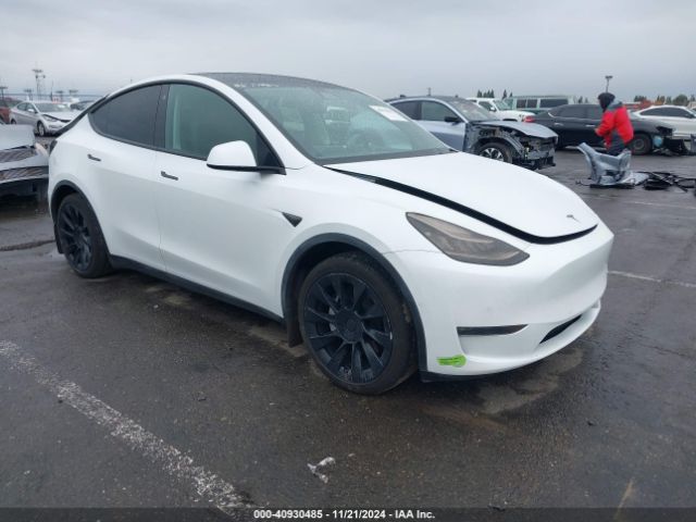 2021 TESLA MODEL Y 5YJYGDEE8MF097806
