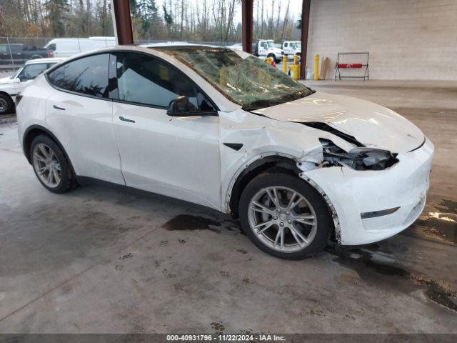 2021 TESLA MODEL Y 5YJYGDEE6MF117891